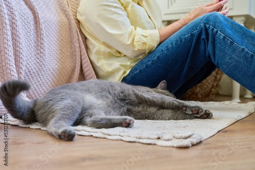Female sitting on floor using smartphone, pet cat sleeping near owner