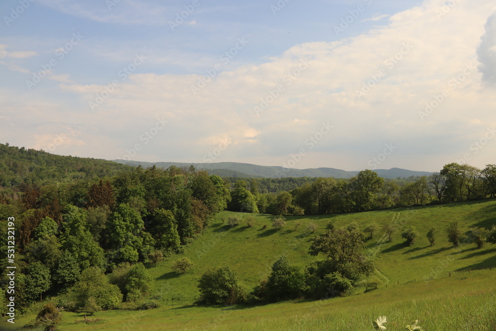 Beautiful landscape with clouds, trees and grass Beautiful landscape with clouds, trees and grass