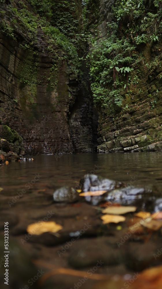 Fototapeta premium Gorge with a river and many plants
