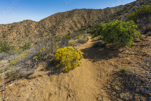 Obraz na płótnie hiking the west side loop trail in black rock canyon, joshua tree national park, usa w salonie