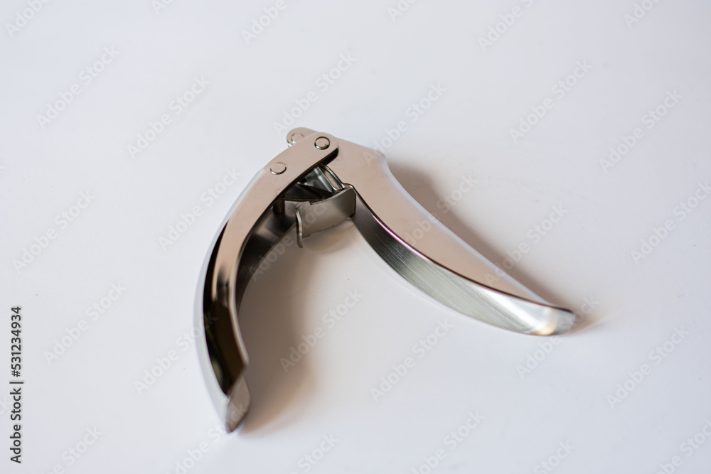 garlic cloves chromed on isolated white background garlic cloves chromed on isolated white background