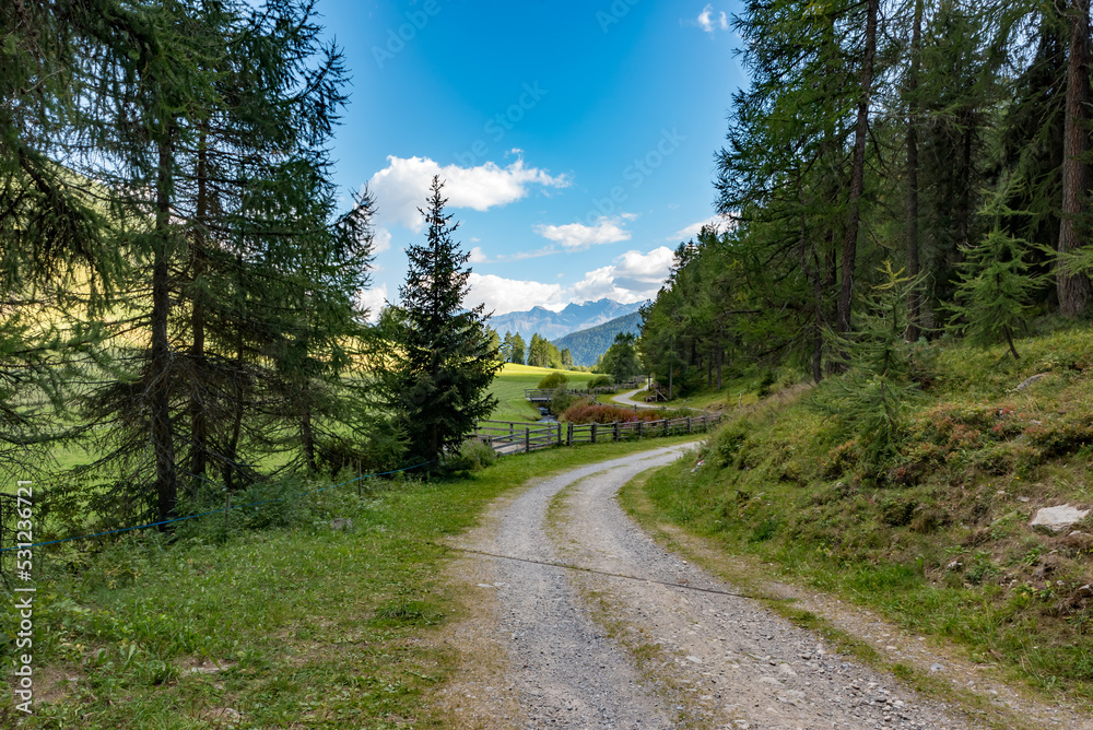 Fototapeta premium Mountain trail South Tyrol Italy