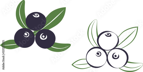 Acai berry, blueberry, blackberry vector illustration icon with colors and outlines.