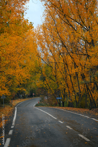Autumn landscape. Empty asphalt road passing through the autumn forest. TURKEY