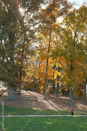 Fall in Chattanooga