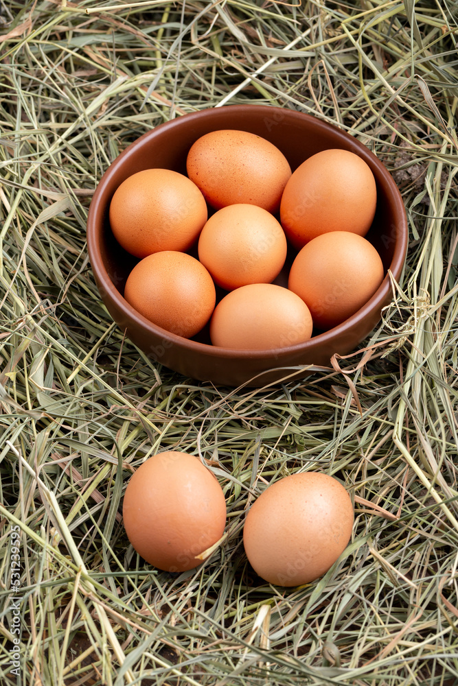 Brown chicken eggs in a bowl on a background of hay. A pair of eggs lies on the hay.