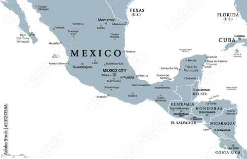 Mesoamerica, gray political map. Historical region and cultural area in southern North America and Central America, from Mexico to Costa Rica. Within this region pre Columbian societies flourished. photo