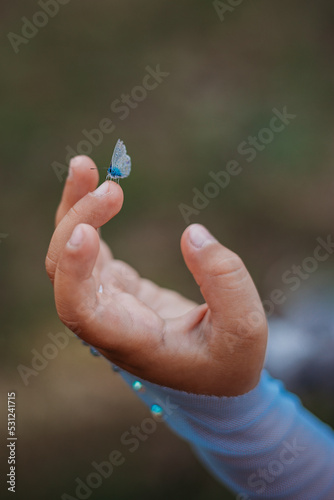 Small blue butterfly on a child's finger