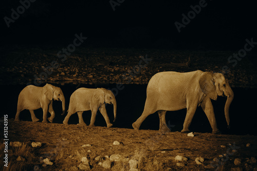 Eine Gruppe afrikanischer Elefanten mit Jungtieren am Wasserloch von Okaukuejo am späten Abend, lange nach Sonnenuntergang (Etosha Nationalpark, Namibia)