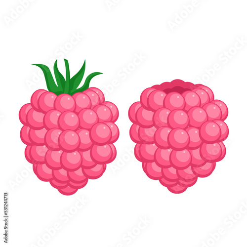 Raspberry isolated on white background in flat style