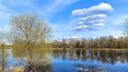 In spring, the river overflows and the water floods the banks with the bushes and trees growing on them. Young foliage blooms. Trees and blue skies with clouds are reflected in the calm water. Sunny