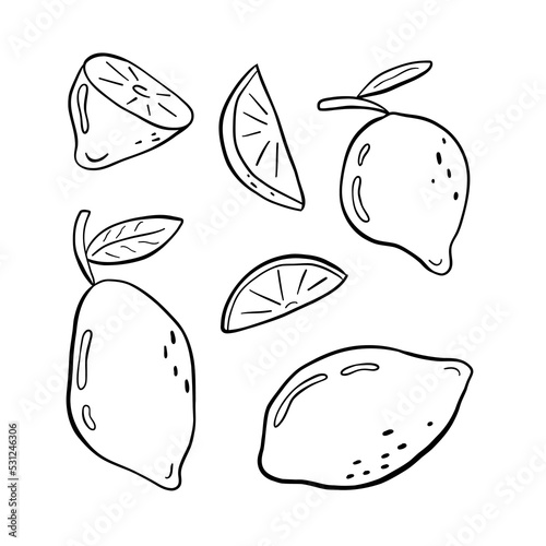 Set of lemons and slices on a white background. Hand drawn black and white sketch illustration. Doodle vector clip art. Ideal for prints, scrapbooking, invitation and decoration.