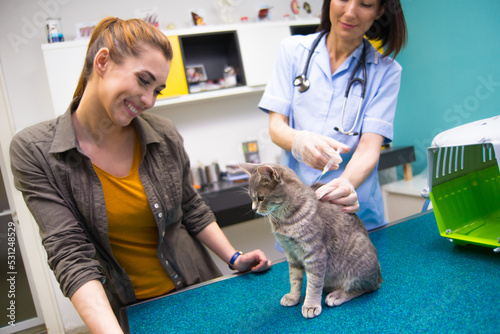 Woman veterinarian examining and vaccinating cat in veterinary clinic