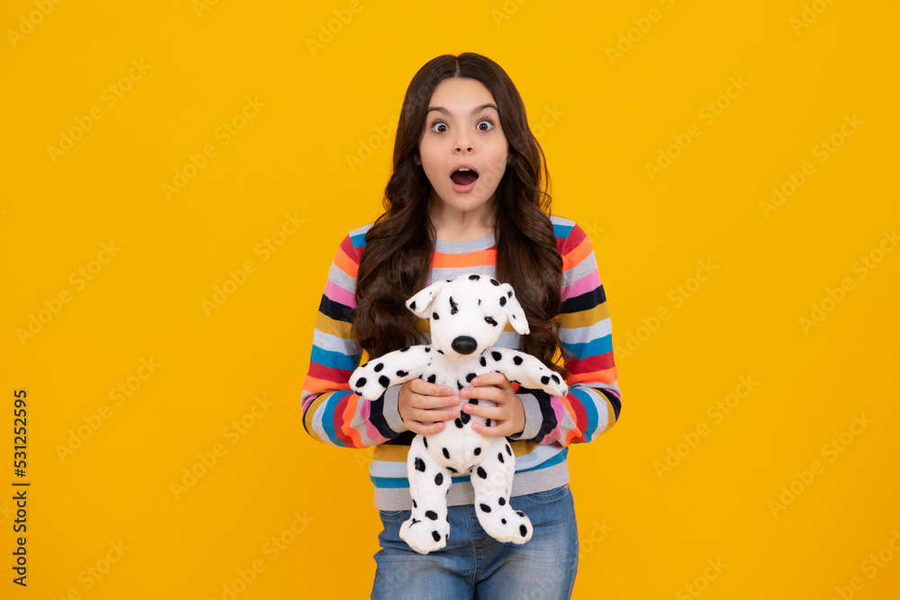 Teenage girl embracing toy. Childhood, toys and kids. Cute teen girl cuddling favorite fluffy toy. Shocked amazed face, surprised emotions of young teenager girl. Teenage girl embracing toy. Childhood, toys and kids. Cute teen girl cuddling favorite fluffy toy. Shocked amazed face, surprised emotions of young teenager girl.