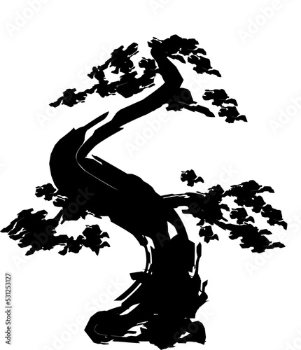 Japanesd bonsai tree illustration
