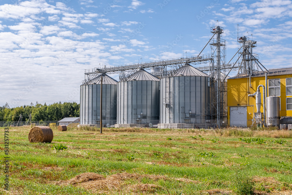 Agro silos granary elevator with seeds cleaning line on agro-processing ...