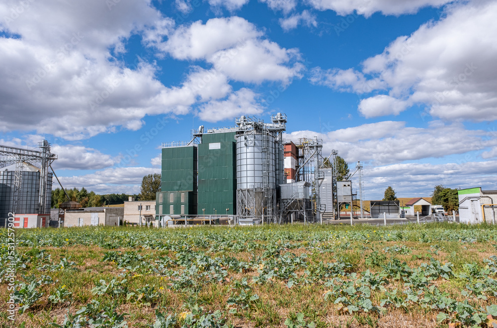 Agro silos granary elevator with seeds cleaning line on agro-processing ...