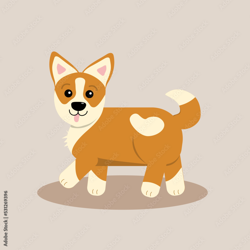 Dog corgi Dog corgi