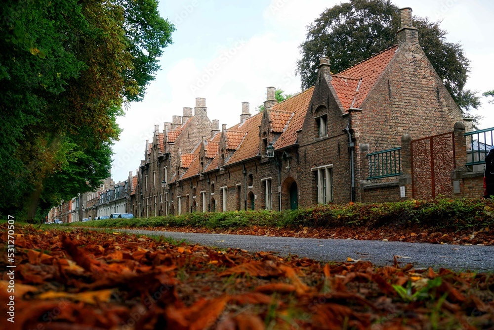 Fototapeta premium autumn in the city