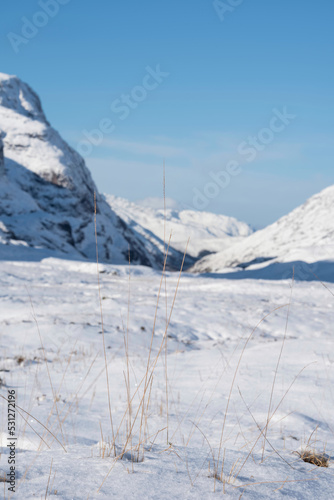 Gorgeous Winter landscape blue sky image of view along Glencoe Rannoch Moor valley with snow covered mountains all around © veneratio