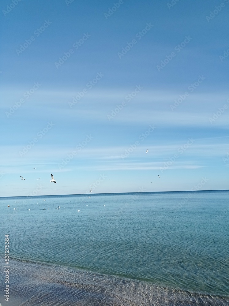 Obraz premium beach and sea