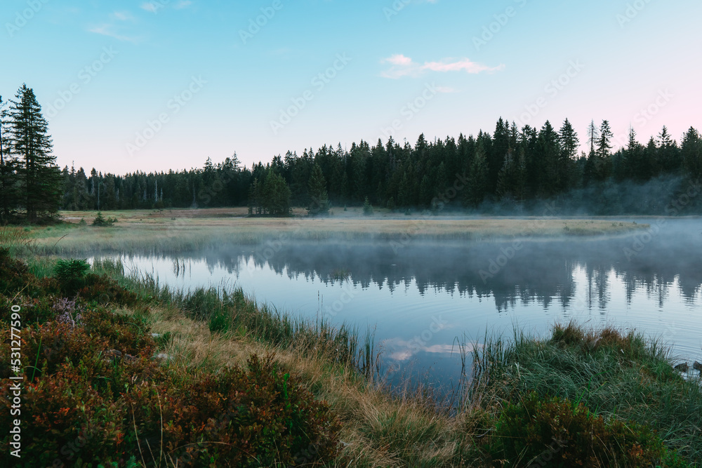 morning in the forest with fog and lake