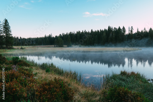 morning in the forest with fog and lake © TheZerdas