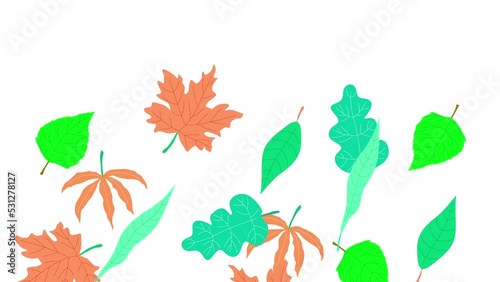 Animation of falling autumn leaves on a white background.