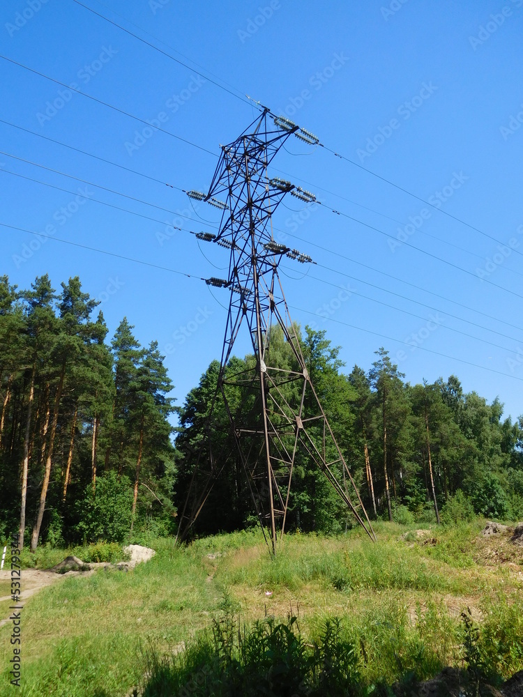 Obraz premium power lines in the forest