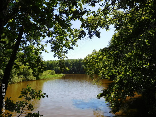 natural landscape, forest lake framed by leaves, summer background, wallpaper