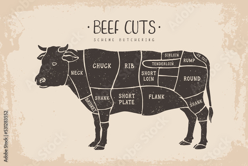 Beef cuts. Poster Butcher diagram for groceries, meat stores, butcher shop