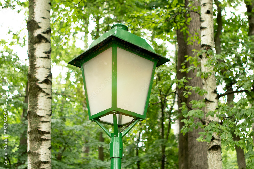 green lantern in the park among the birches