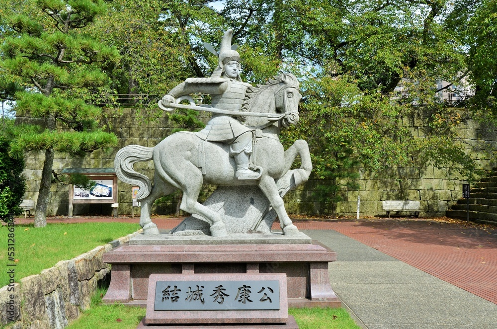 Adobe Stock 