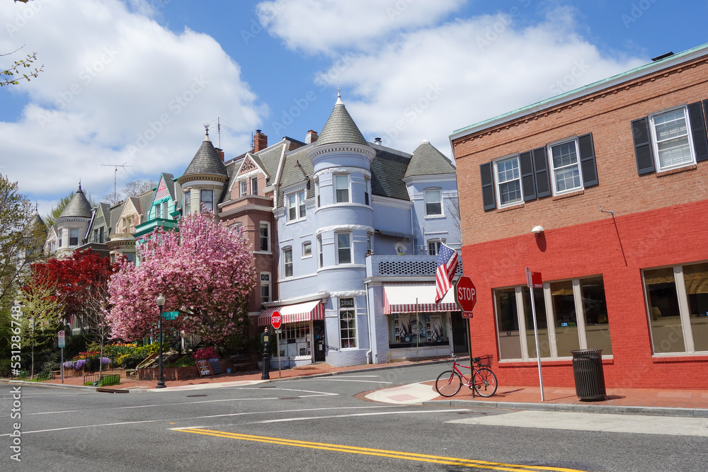 Obraz premium Historical Georgetown street in springtime - Washington DC United States