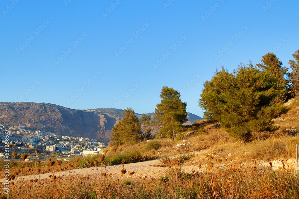 Galilli mountains Golden hour beautiful landscape.