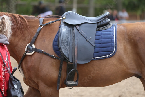 Close up of a sport horse saddle. Quality classical leather saddle