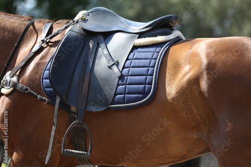 Close up of a sport horse saddle. Quality classical leather saddle © acceptfoto