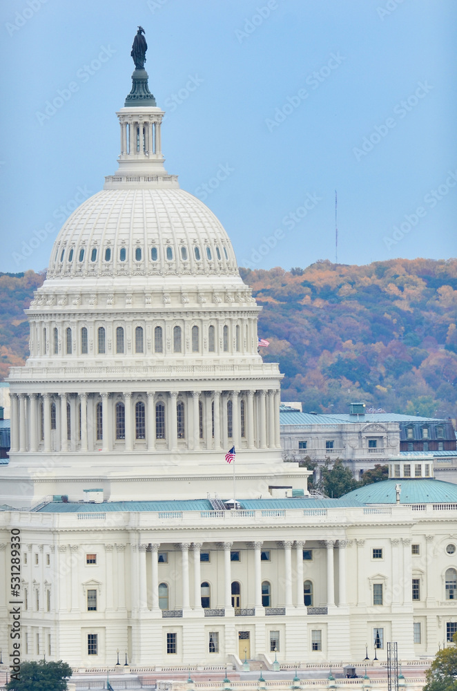 us capitol building and autumn foliage - Washington DC United States