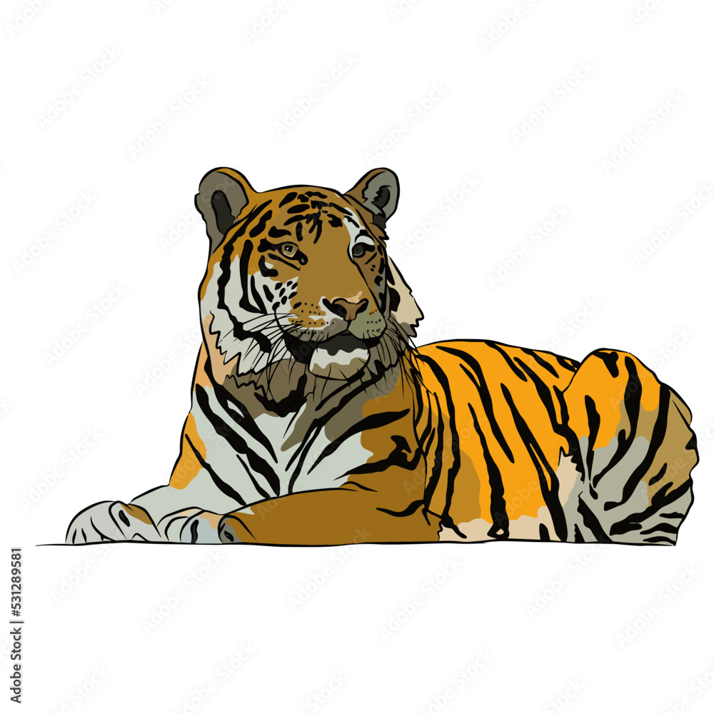 Naklejka premium it's a beautiful tiger picture.