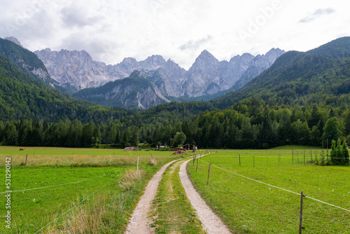 A beautiful view of the Julian Alps, a forest and a grassy meadow in Gozd Martuljek, Slovenia. The beginning of the route to the Martuljek lower waterfall.