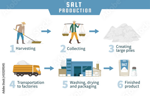 Salt Production Infographics