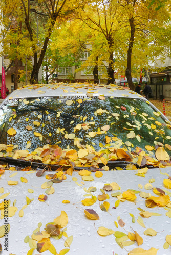 autumn leaves on the parked car