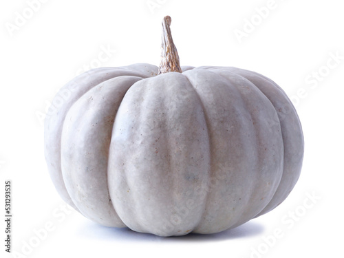 Blue green autumn pumpkin isolated on a white background. Queensland Blue variety. #531293535