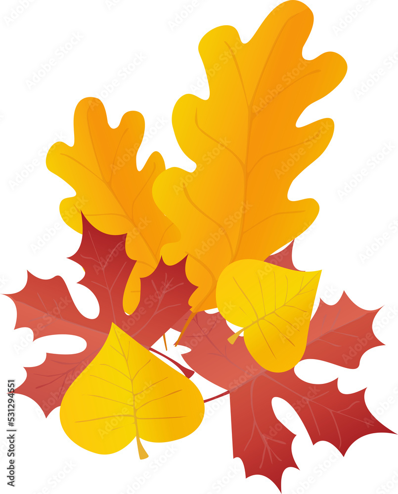 Obraz premium Leaves in red and yellow. PNG set in realistic style. Autumn leaf. Colorful illustration isolated on transparent background.