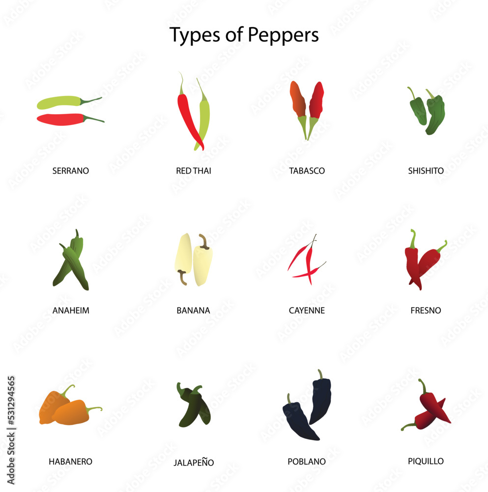 Vettoriale Stock illustration of biology and agriculture, Types of