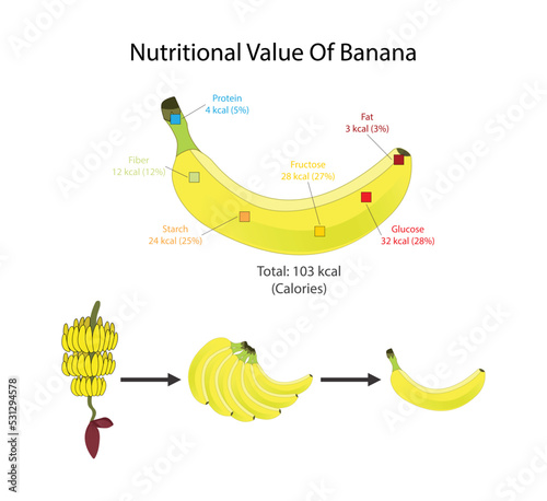 illustration of biology and food science, Nutritional Value of Banana, banana is an elongated, edible fruit, Vitamins and minerals, Nutrition Facts, Bananas, raw nutrition facts and analysis
