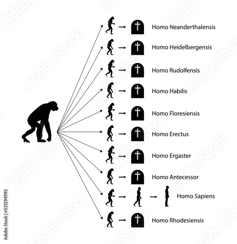 illustration of biology and anthropology, human beings on this planet belong to is Homo sapiens, Homo sapiens evolved in Africa, Homo sapiens are the most abundant and widespread species of primate photo