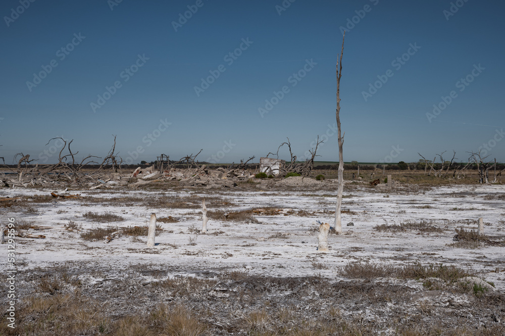 Lake Epecuen, salt recovery, Province of Buenos Aires, Argentina. Lake Epecuen, salt recovery, Province of Buenos Aires, Argentina.