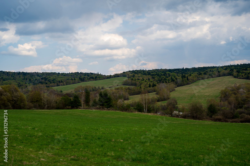 Green meadow and forest on a cloudy day.