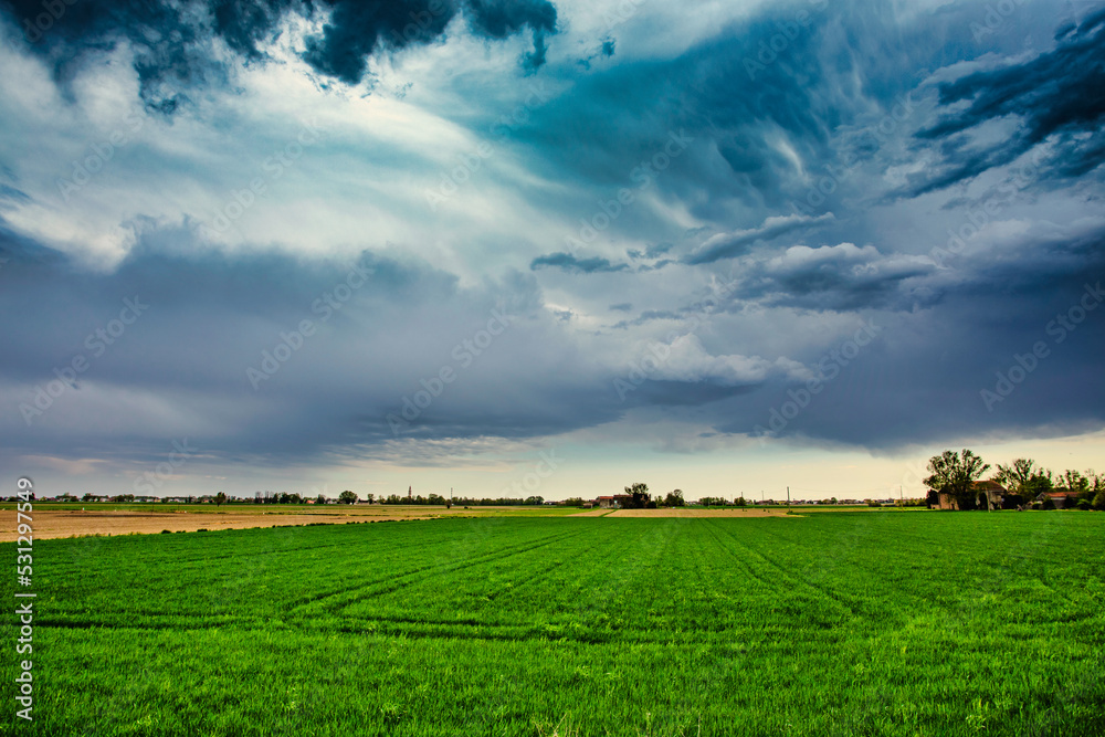 field and blue sky